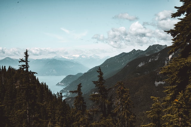 The BC Budget 2022 Recognizes the Role of Not-for-Profits