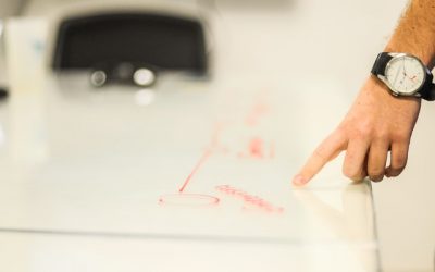 Responsibility Overview: Board/Executive Director and Employees