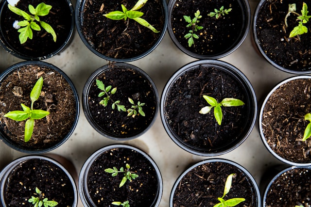 Utilizing Corporate Volunteers for Your Non-profit’s Unique Needs