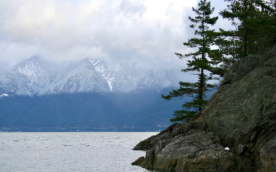 Introducing Our New Climate Adaptation Resources Library