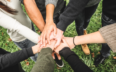 Why We Volunteer: A Journey of Learning and Giving Back