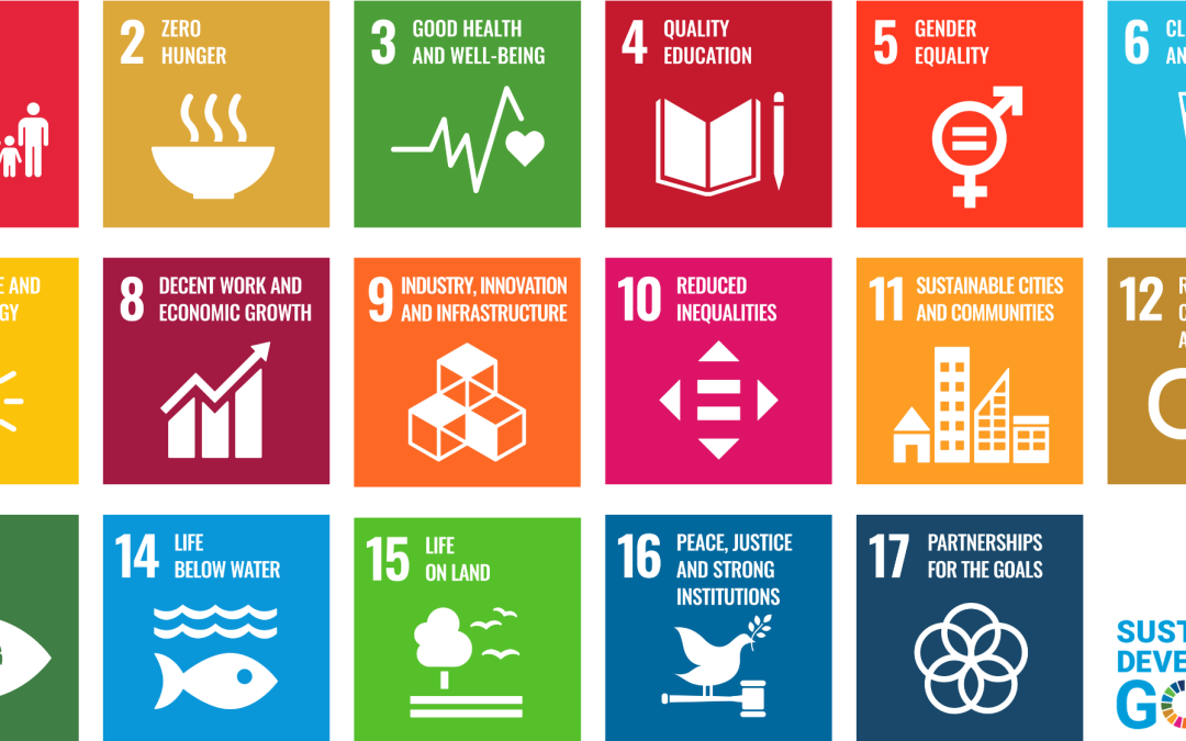 From Global Goals to Local Action: Advancing Climate Action Through the Sustainable Development Goals